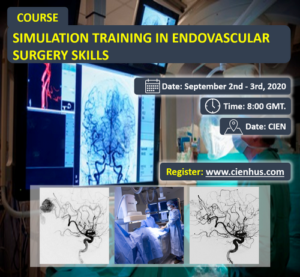 Simulación de Entrenamiento en Habilidades de Cirugía Endovascular