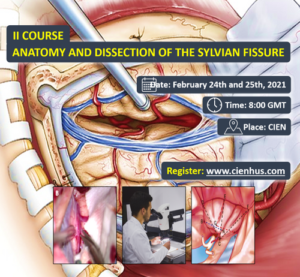 II Curso: Anatomía y Disección de la Fisura de Silvio